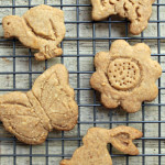 Plain Jane Cutout Cookies